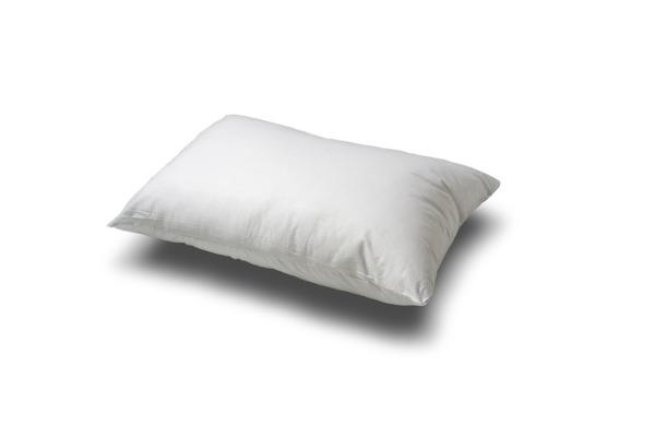 Pillow (Large) product image
